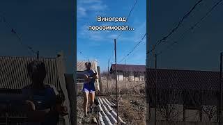 После зимы много работы на участке  #rescuedanimals #село #россия #юмор