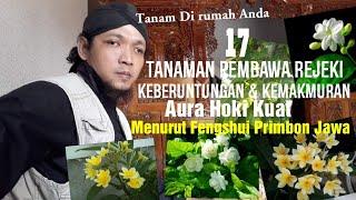 17 Tanaman Pembawa Rejeki &  Keberuntungan. Menurut Fengshui Primbon Jawa