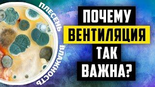 Основы вентиляции(часть 1). Причины плохого самочувствия, аллергии, кашля.