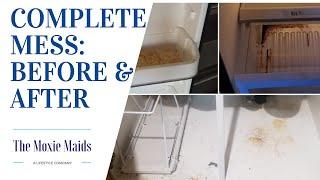 BEFORE AND AFTER RESULTS | EXTREME CLEANING | CLEAN WITH ME