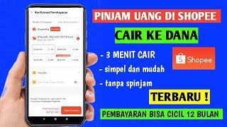 Cara Pinjam Saldo Dana Di Shopee Terbaru