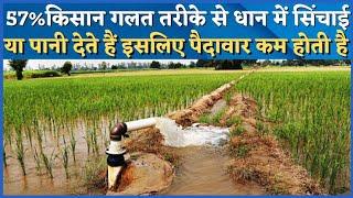 what is the most appropriate irrigation system for rice। धान में पानी देने का सही तरीका जाने।