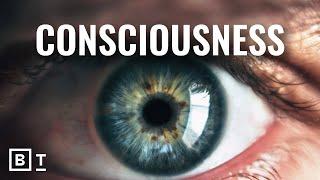 Is consciousness an illusion? 5 experts explain