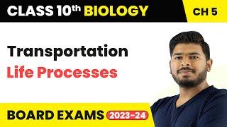 Transportation - Life Process | Class 10 Science Chapter 5