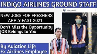 INDIGO AIRLINES NEW VACANCY FOR FRESHERS APPLY FAST 2021|| NEW JOBS |AIRPORT JOBS | AIRLINES JOBS ||