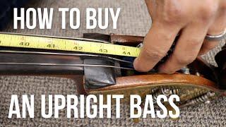 HOW TO BUY AN UPRIGHT BASS: 8 Tips For Beginners