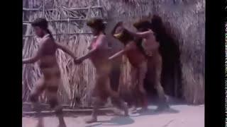 Yanomami Tribes chooice husband ceramony video at amazon rain forest july 2013