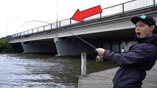 This Is Why You Should Fish Bridges! (MONSTER FISH!)