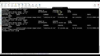 028 Jenkins job to deploy a war file on Docker container using Ansible | Computer Monk 