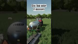 How to take care of our sheeps in Farming Simulator 22