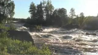 Laxfiske i Torne älv - Salmon fishing in Torne river