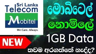 Mobitel Free Data | 2024 | Sinhala | #mobitel #freedata #free