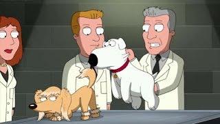 Brian Forced Mating | Family Guy