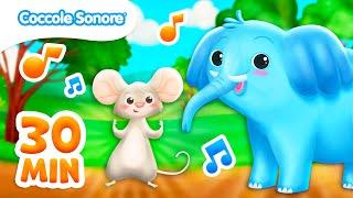 La Super Compilation delle Canzoni più Amate dai Bambini | Coccole Sonore