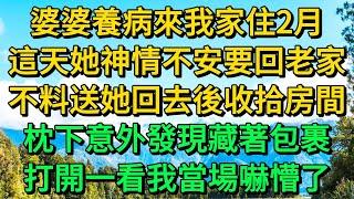 婆婆養病來我家住2月，這天她神情不安要回老家，不料送她回去後我收拾房間，枕下意外發現藏著包裹，打開一看我當場嚇懵了 | 柳梦微语