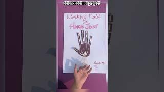 Working Model on HINGE JOINT/ Science school project/ Project based learning for school kids/ Joints