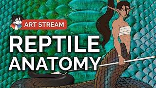  Drawing Reptile Anatomy: Hybrid Character Design