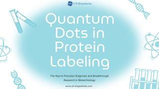 Quantum Dots in Protein Labeling: The Key to Precision Diagnosis & Breakthrough Research in Biotech