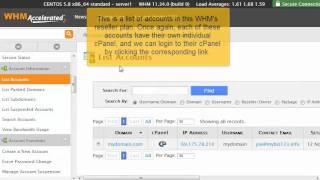 What is the Difference between WHM & cPanel? Explained
