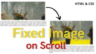 Fixed Background Image on Scrolling | Parallax Effect | HTML & CSS