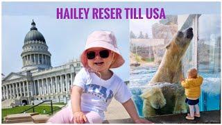 Hailey Travels to America