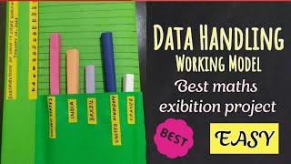 Bar Graph working model || Best Maths Exhibition Projects for School ( only chart )