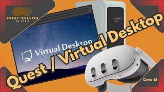 Virtual Desktop 2024 einrichten / Multi-Monitor Update.