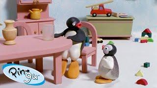 A Helping Pingu!  | Pingu - Official Channel | Cartoons For Kids