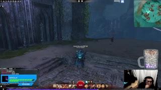 PvP - WvW  - Chill Vibes -- Epic MUSIC!!!