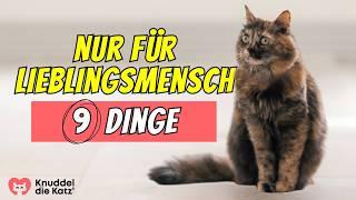 9 Dinge, die Katzen nur für ihren liebsten Menschen tun 