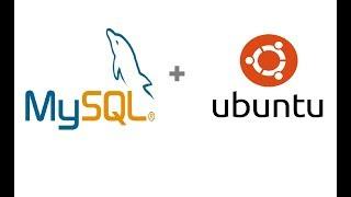 How to install MySQL on Ubuntu/Debian