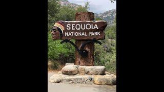 Sequoia National Park. A Walk Among Giants. Fun Facts. Places You MUST SEE. #sequoianationalpark