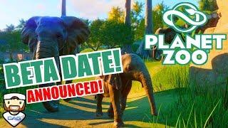 Planet Zoo BETA DATE ANNOUNCED!