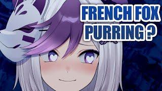 【ASMR 】French fox purring ?