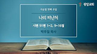 나의 피난처, 시편 91편 1~2, 9~16절, 사순절 첫째 주일, 박주일 목사