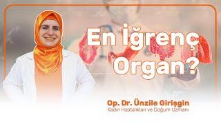 En İğrenç Organ?