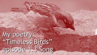 My Poetry ep 1.3 Song: "Timeless Birds"