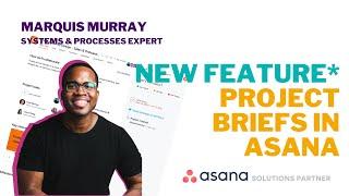  ASANA Overview: Key Tips for Project Managers | Project Brief & Collaboration