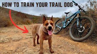 How to Train Your Ultimate Trail Dog: MTB With Heeler