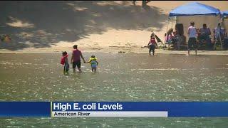 County: Elevated E. Coli Levels On Lower American River Not A Major Concern