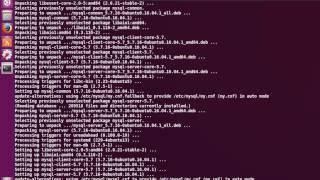 How to Install MySQL Server on Linux