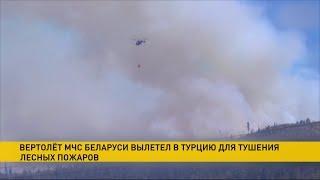 Белорусские спасатели помогают тушить лесные пожары в Турции