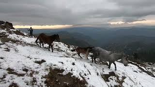 The life of bakarwal in the snow || sheep headers || village life bakarwal life