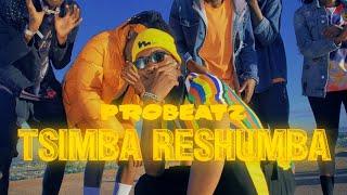 PROBEATZ  - Tsimba ReShumba (Captain Mfombi Soundtrack) Official Music Video