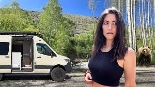 Van Life in Tahoe: Bear Encounters & Van Fixes/Maintenance