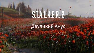 S.T.A.L.K.E.R. 2 Двуликий Анус