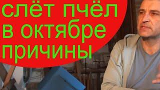 Слет пчел осенью. Пропало пол - пасеки. Разбираемся в причинах. Пчеловодство для начинающих.