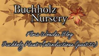 Flora Wonder | Buchholz Plant Introductions (Part 20)