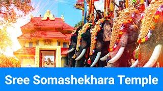 My First Documentary | Sree Somashekhara Temple  Peringottukara | History
