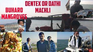 Karachi Fishing for Dentex Fish or ڈاٹھی مچھلی  | Fish Hunting in Arabian Sea Sindh Pakistan Coast |